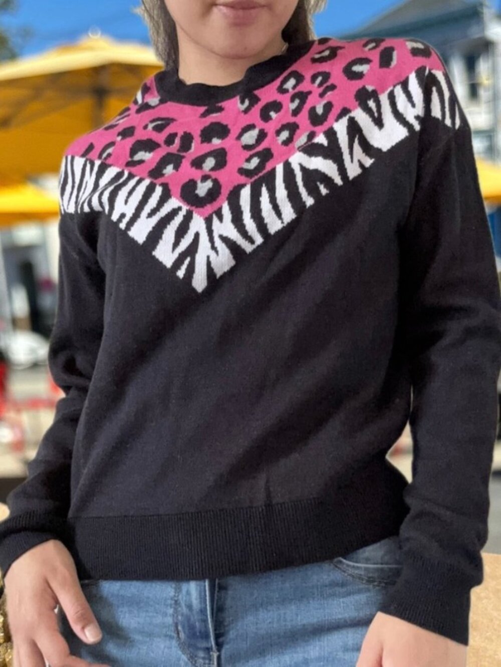 Retro 80's 90's Maximalist Animal Zebra Leopard Lightweight Knit Sweater Jumper